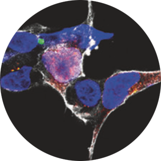 Screenshot 2026-04-09 at 2.28.01 PM