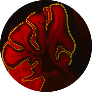 Screenshot 2026-04-09 at 2.39.24 PM